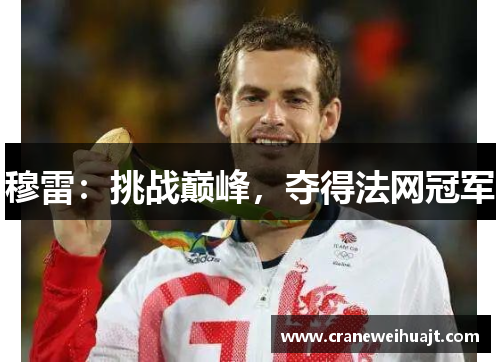 穆雷：挑战巅峰，夺得法网冠军